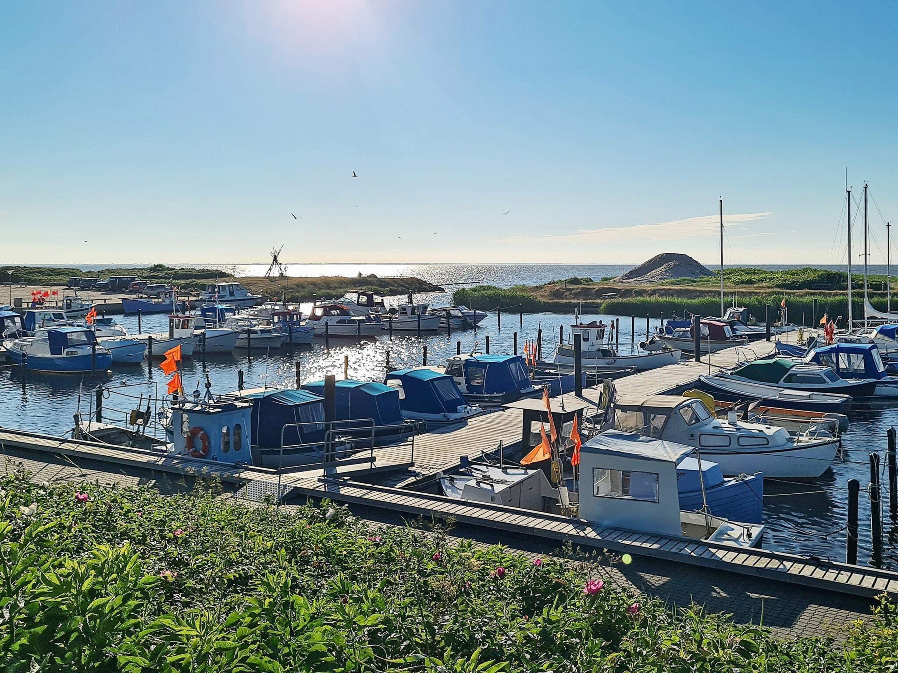 A marina with boats docked, a small building, and a clear sky.