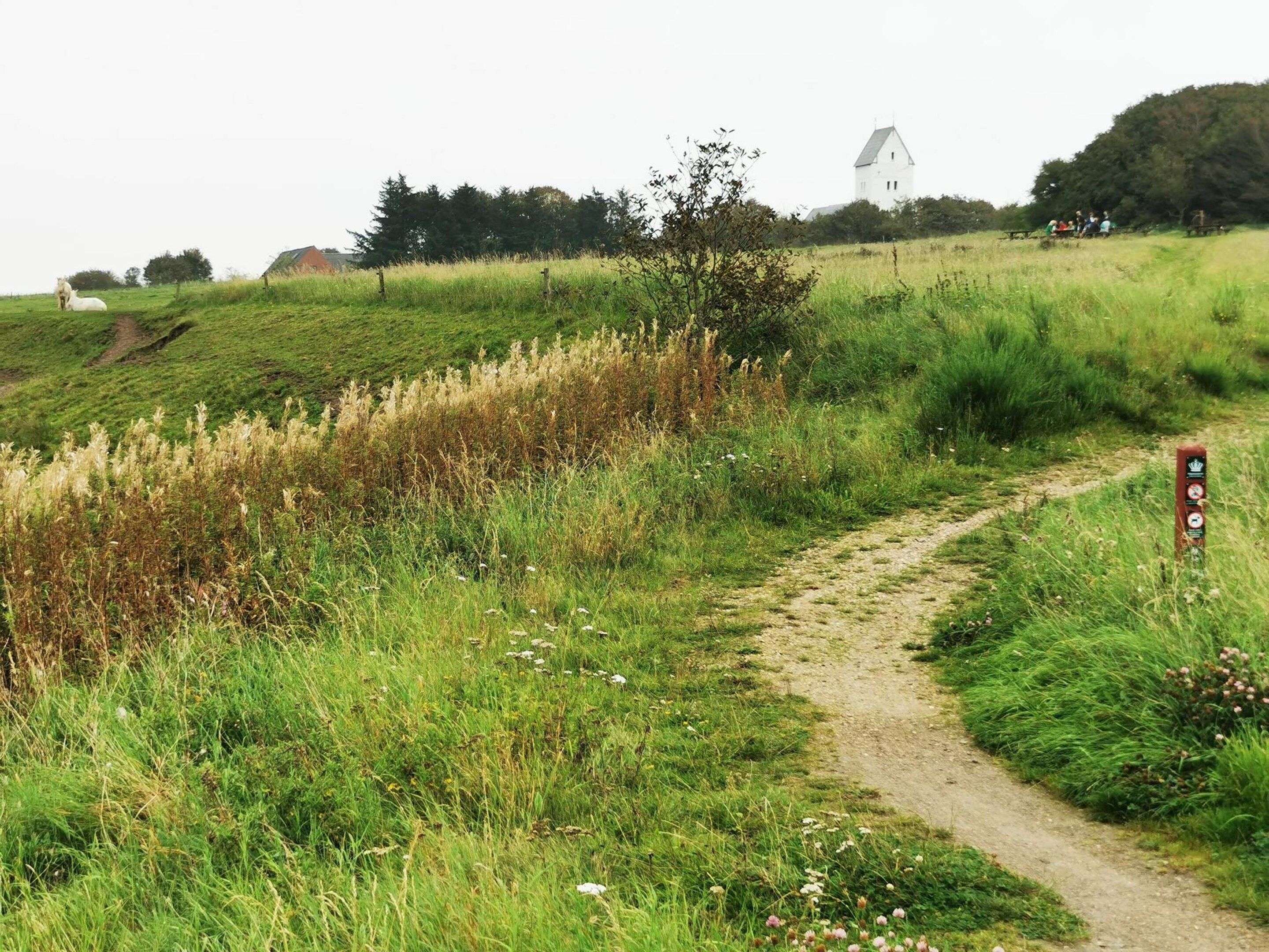 Un paysage rural avec un chemin de terre menant à un bâtiment blanc, entouré de verdure et d’un petit groupe de personnes.