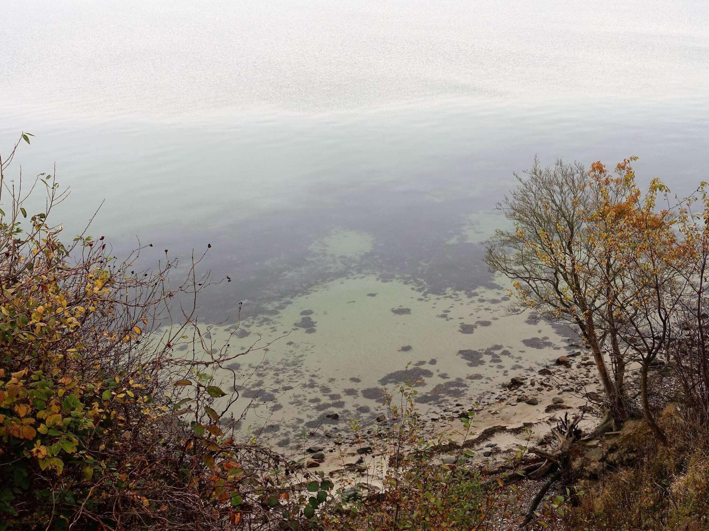 Eine Küstenlandschaft mit Blick auf das Meer, einem Sandstrand und Vegetation.