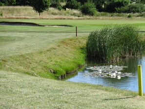 A golf course with a water hazard, a sand bunker, and a flag marking the hole. - 6 Person Holiday Home in Augustenborg (Augustenborg)