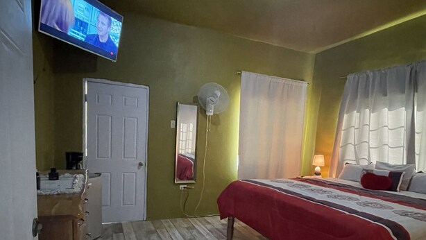 Una camera da letto con un letto, una televisione a muro, una ventola e una porta.