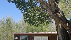 Un pequeño edificio de ladrillo con una puerta y ventanas blancas, rodeado de un césped cuidado y un árbol grande.