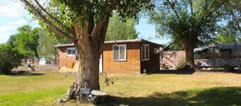 The Checkered Daisy Cottage: Colorful and Fun