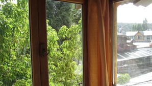 A window with a view of green foliage and buildings in the distance.