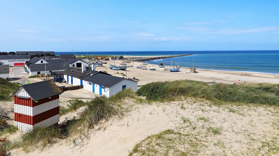 10 Person Holiday Home in Thisted