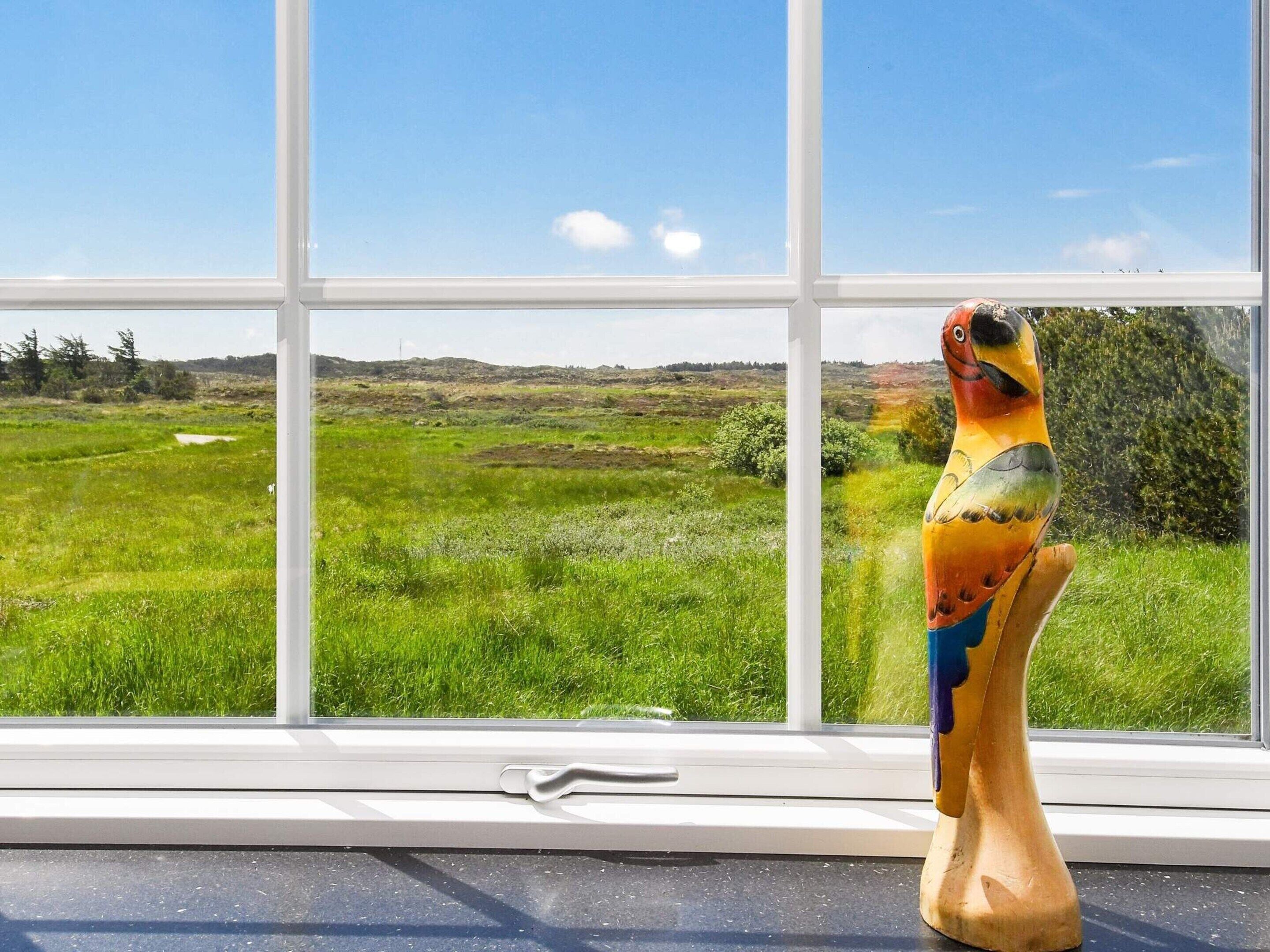 House | View from property