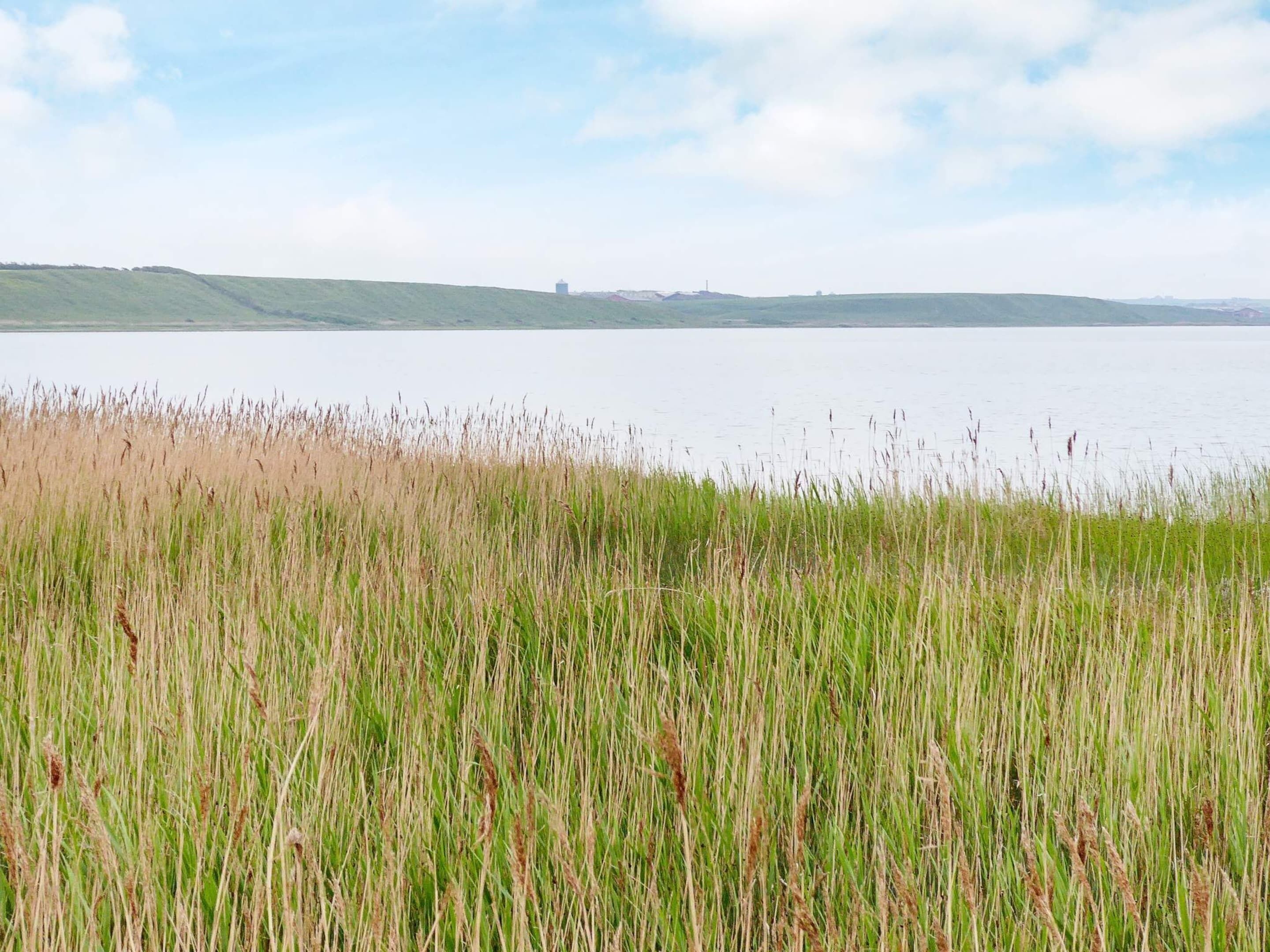 A view of a lake with grassy banks and distant hills.