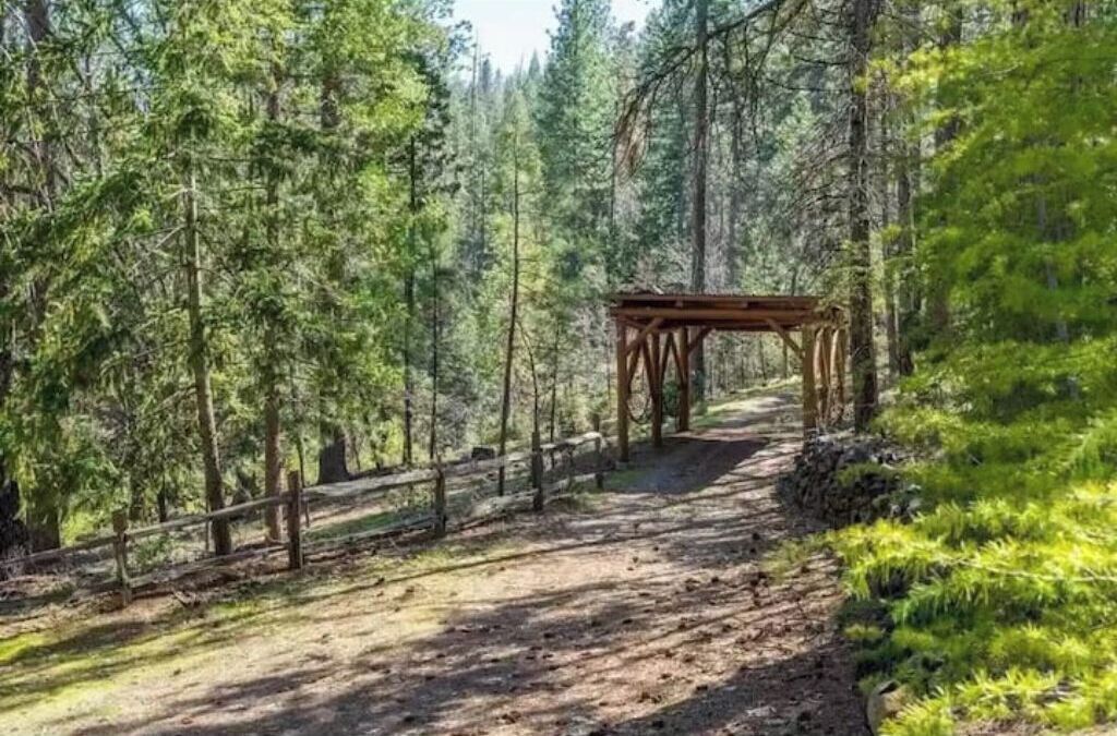 Une zone boisée avec une structure en bois, peut-être un belvédère, située sur un chemin de terre.
