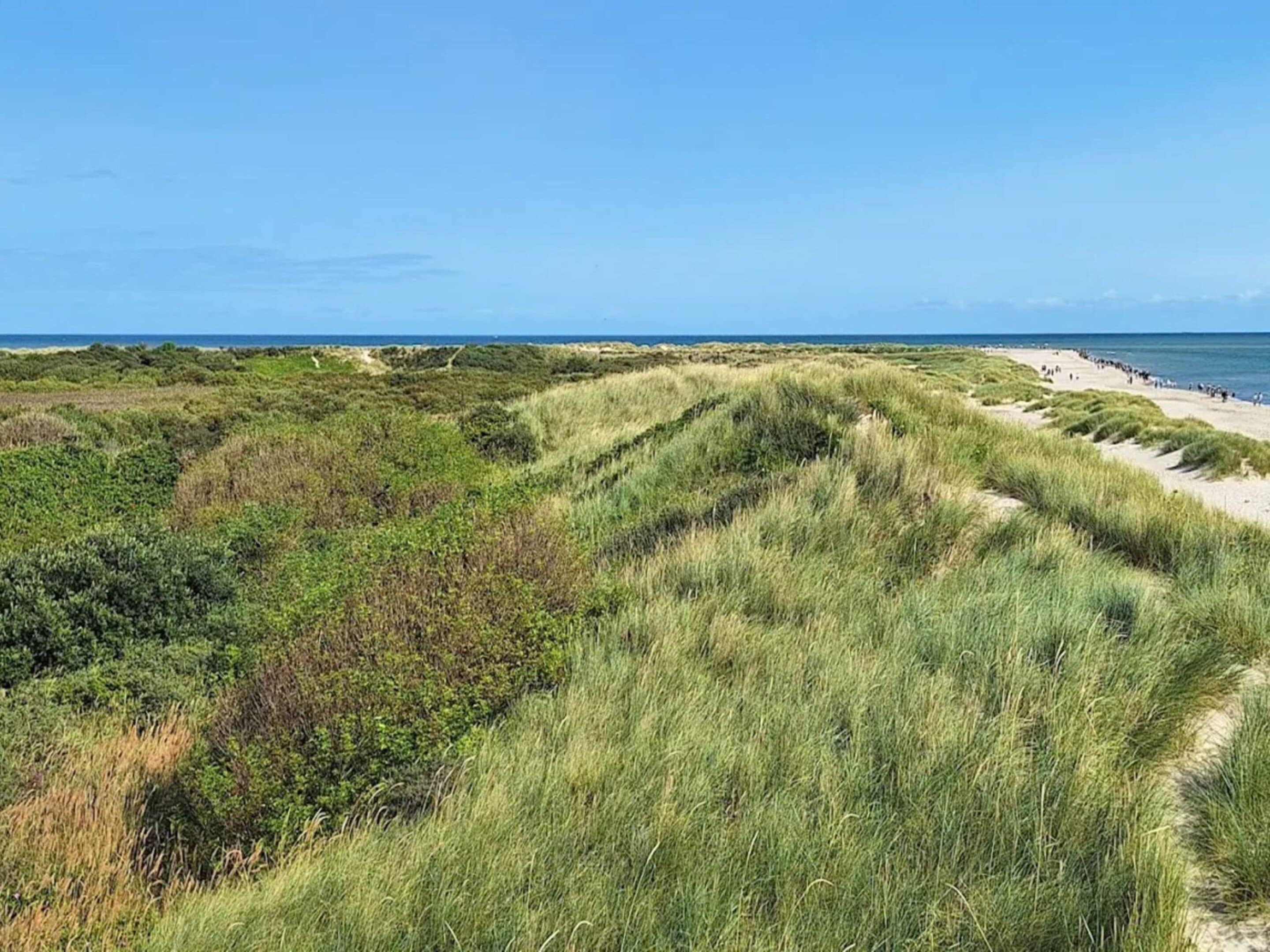 Un paisaje costero con dunas y una playa.