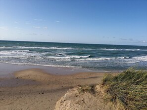 A beach with waves, a sandy shore, and some grass.