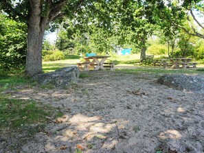 A picnic area with tables and benches, surrounded by trees and a dirt ground.