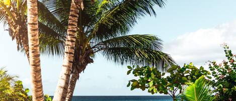 On the beach, sun-loungers, beach towels