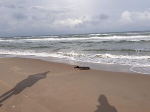 A beach with waves, a shadow of a person, and a dog lying on the sand. - 4 Star Holiday Home in Hjorring (Hjørring)