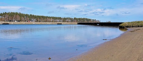 Un rivage paisible avec une plage de sable, une jetée qui s’avance dans l’eau et une zone boisée en arrière-plan.