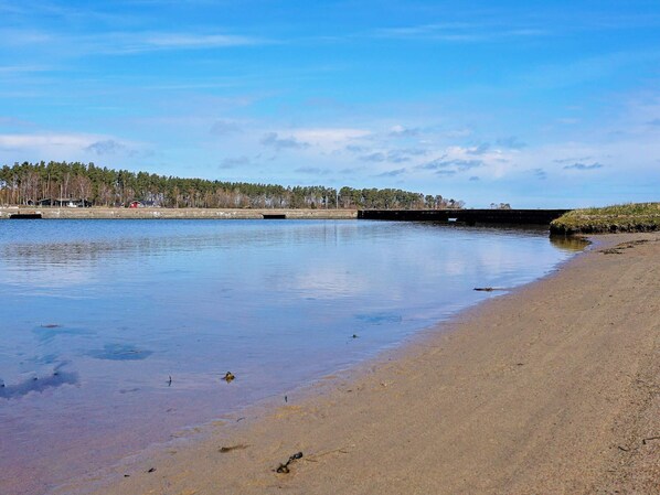 A calm waterfront with a sandy beach, a pier extending into the water, and a forested area in the background.