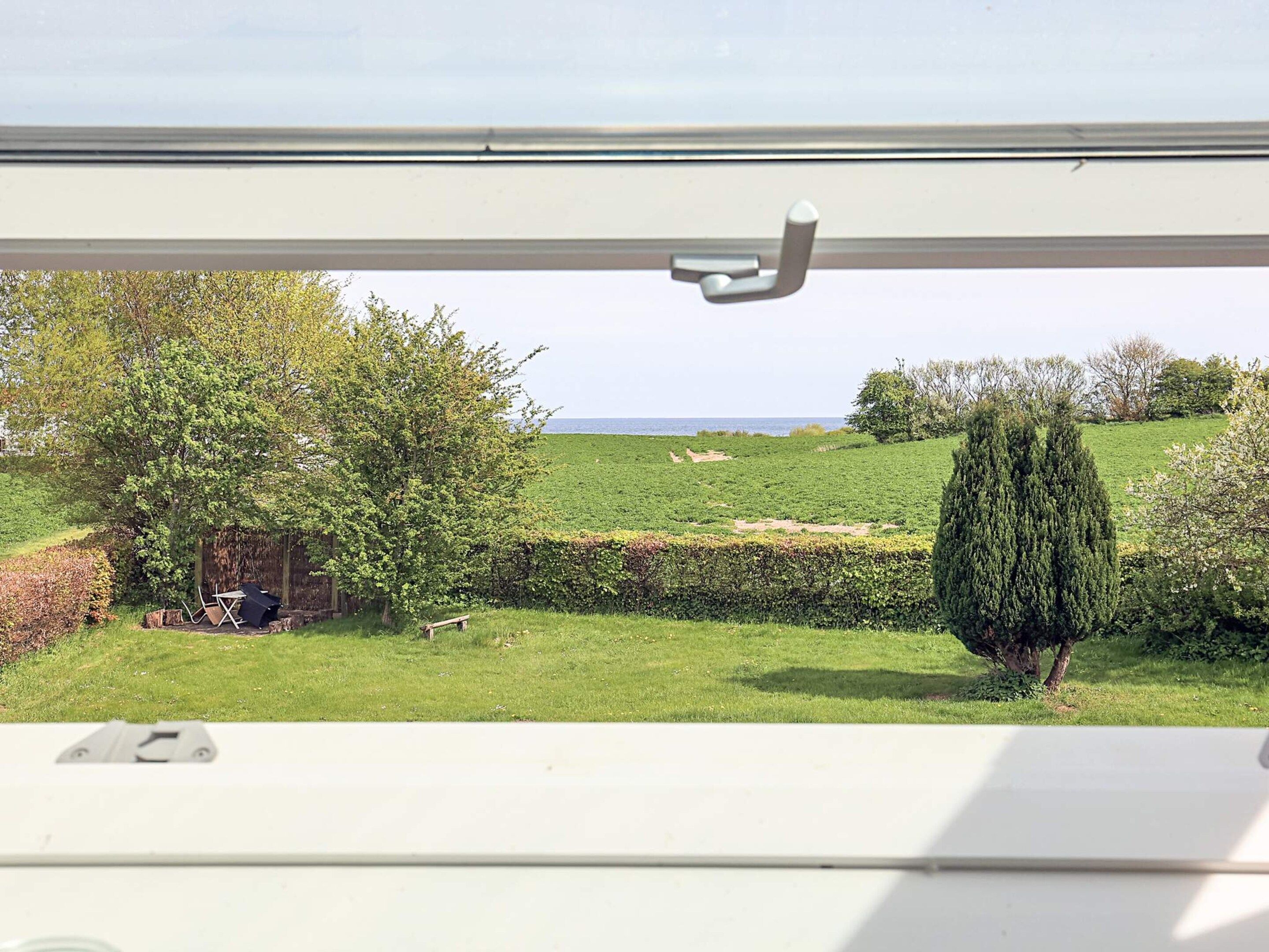 A view through a window of a grassy area with a hedge, a tree, and a bench.