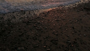 A beach scene with the sun setting over the water, creating a calm atmosphere.