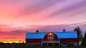 En rød lade med blå tag og en lille tilbygning, foran en himmel i solnedgang.