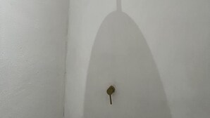 Unclassified image, 5 of 6, button - Charming Nosara  (Nosara)
