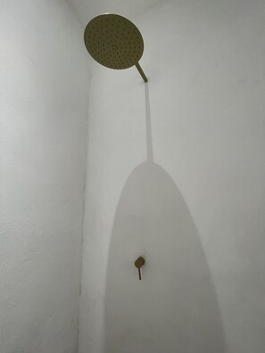 الدش داخل الحمام