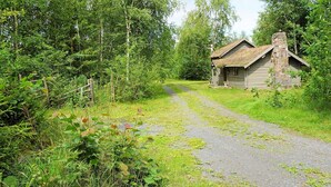 A rustic cabin with a thatched roof, surrounded by dense forest. - 5 Person Holiday Home in Tingsryd (Tingsryd)