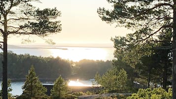 Een uitzicht op een meer, met bomen op de voorgrond en een gebouw in de verte.