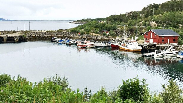 A harbor with boats docked, a red building, and greenery in the background. - 8 Person Holiday Home in Stonglandseidet (Senja)