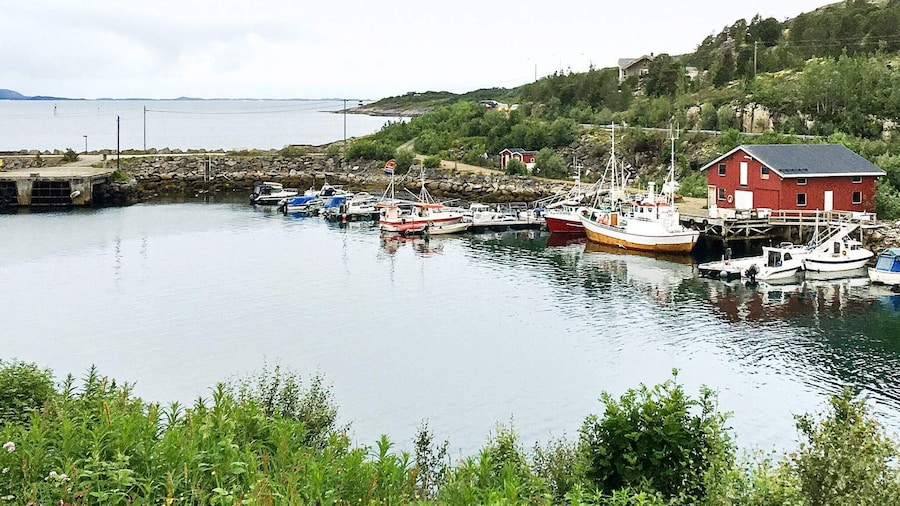 8 Person Holiday Home in Stonglandseidet