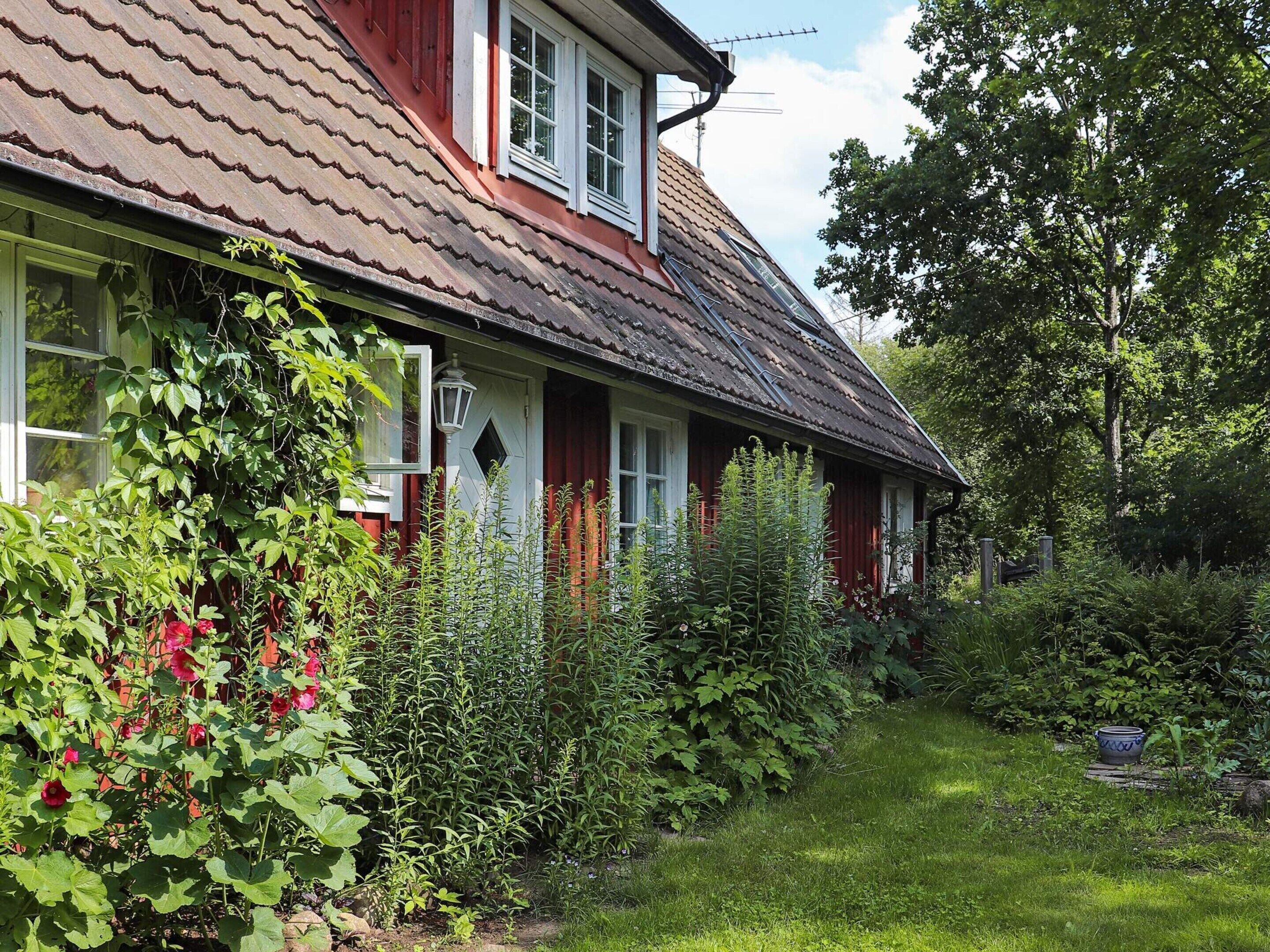 獨棟房屋 | 外觀