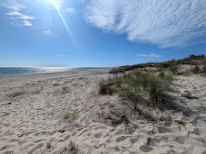 Hus | Strand