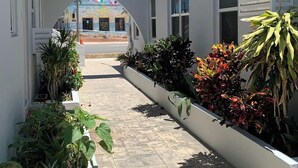 A pathway leading to a building with a mural, surrounded by various plants and a white wall.