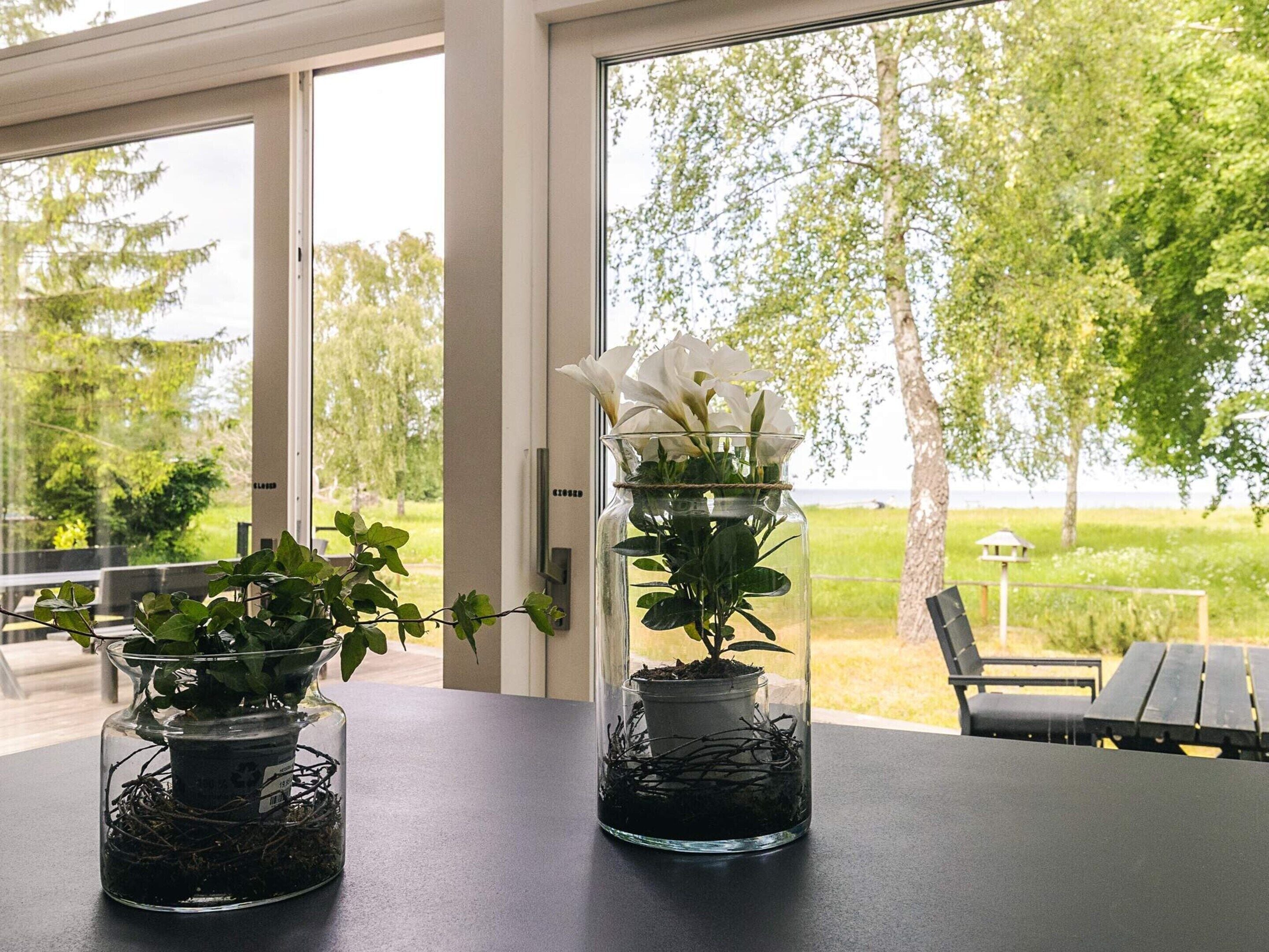 Two glass vases with plants on a table, a door, and a view of a green landscape.