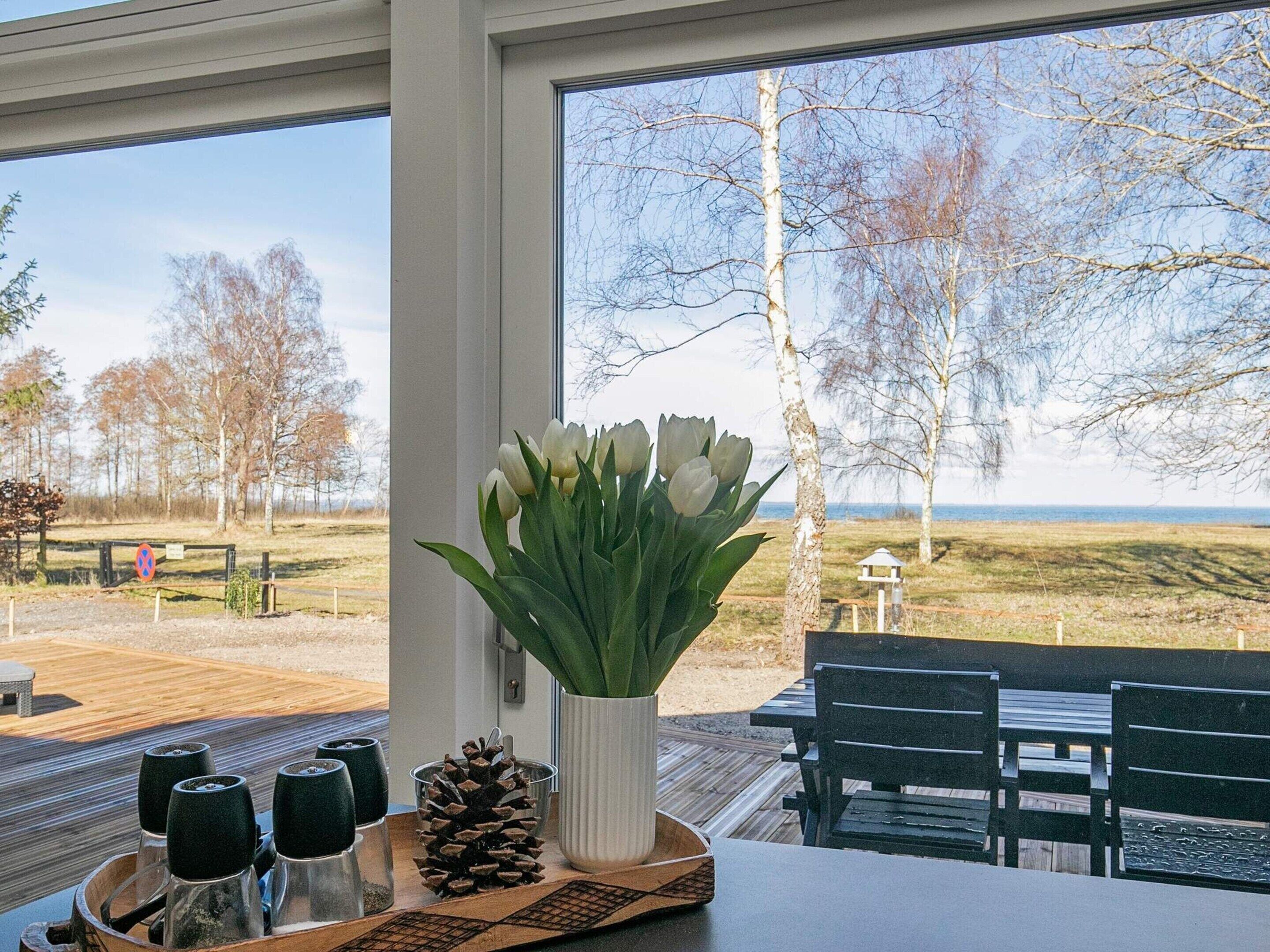 House | View from property