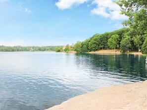 Un lac paisible, avec une plage de sable et une forêt dense sur la droite.