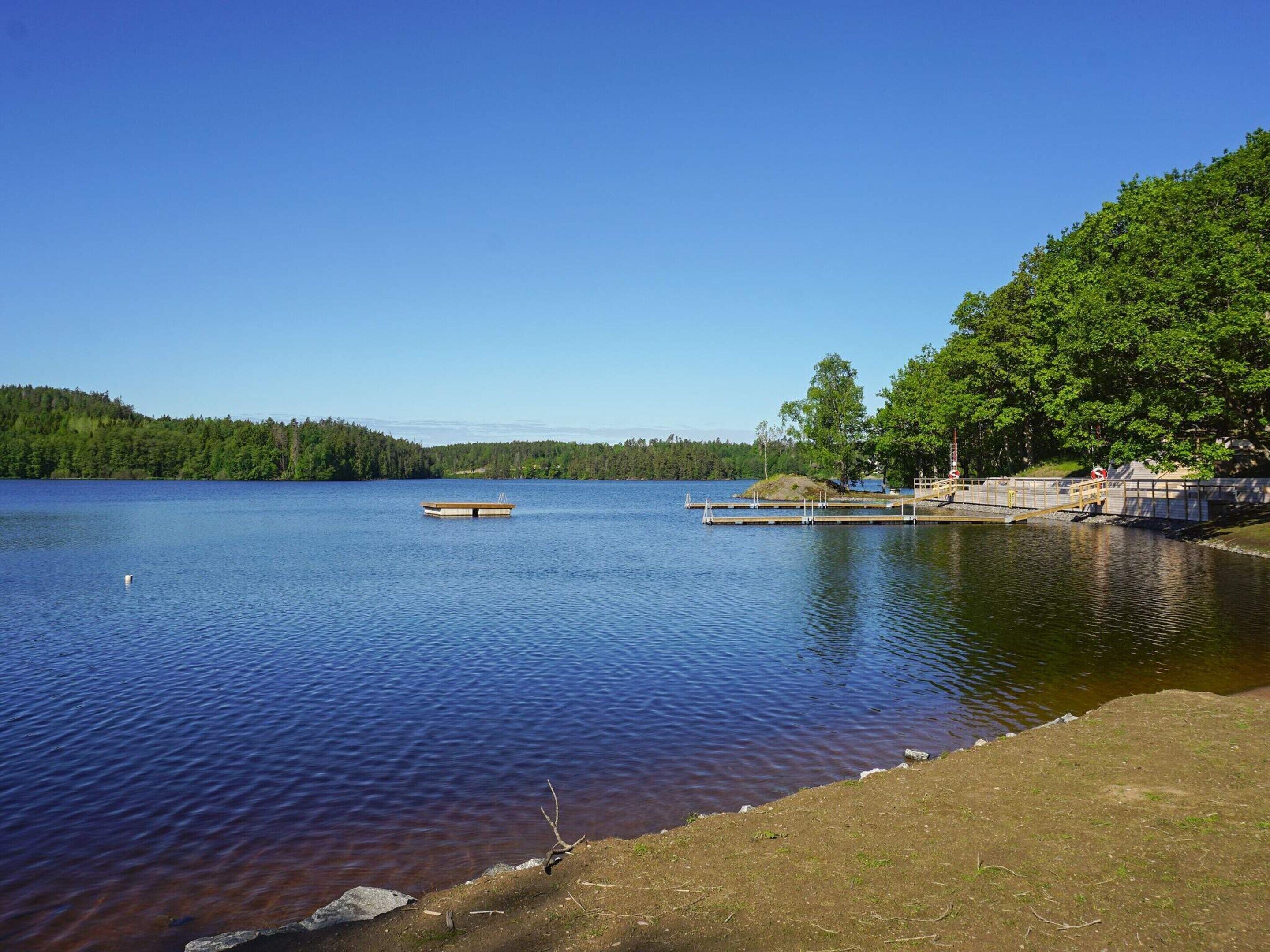 Un lago tranquilo con un muelle que se adentra en el agua, rodeado de un bosque denso.