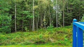A forested area with a blue railing. - 5 Person Holiday Home in Knared (Knared)