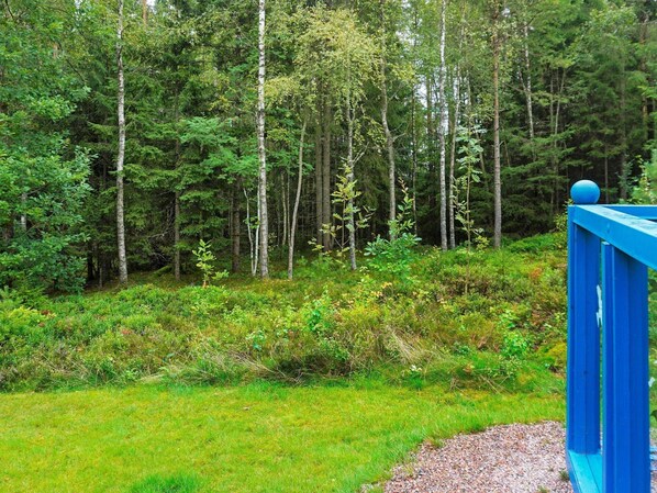 A forested area with a blue railing.