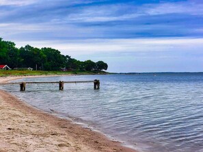 En strand med en träbrygga som sträcker sig ut i stilla vatten, omgiven av grönska och hus.