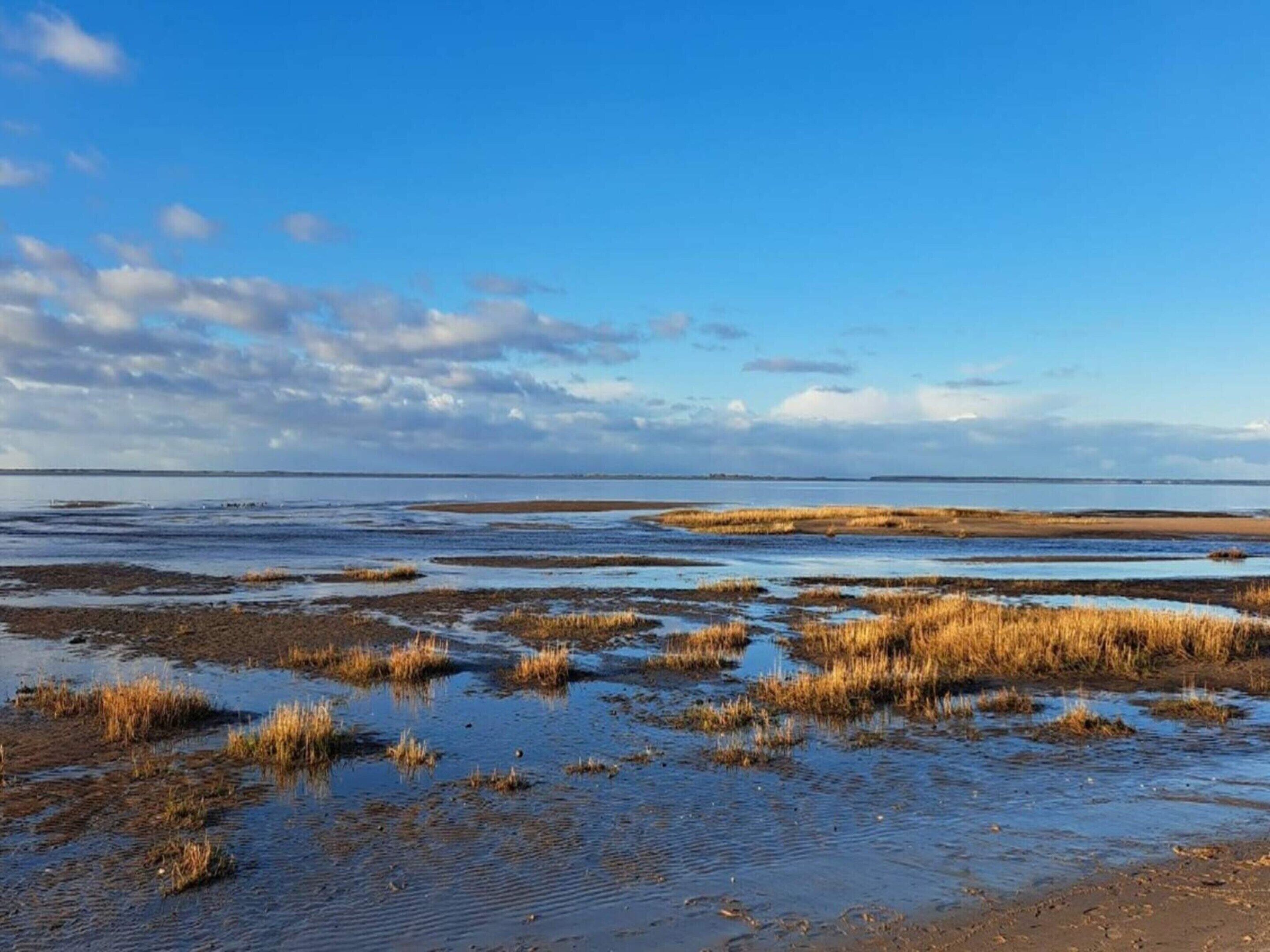 House | Pemandangan air