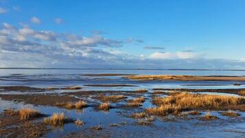 House | Pemandangan air