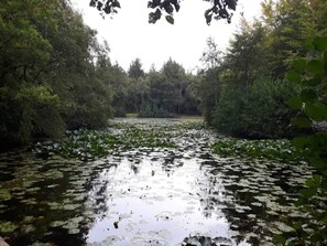Water view - 5 Person Holiday Home in Albaek (Aalbaek)