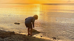 Iemand staat op een kiezelstrand bij zonsondergang.