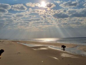 A beach with a dog, sun, and clouds.