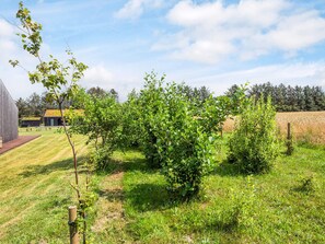 A grassy area with a small tree and a building with a sloped roof.