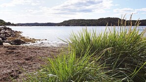 Vista de un lago con orilla rocosa, primer plano de hierba y colinas distantes.