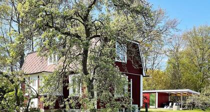 4 Person Holiday Home in Solvesborg-by Traum