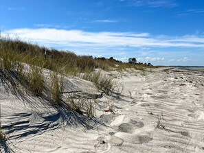 A sandy beach with dunes and sparse vegetation. - 4 Star Holiday Home in Grenaa (Grenaa)