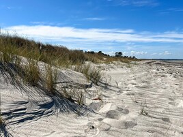 Una playa arenosa con dunas y vegetación escasa.