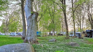 Een park met grote rotsen, groen gras en bomen.