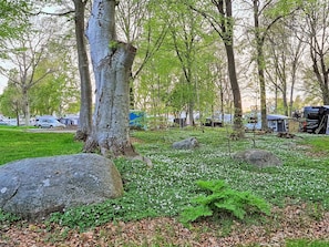 Un parco con grandi rocce, erba verde e alberi.